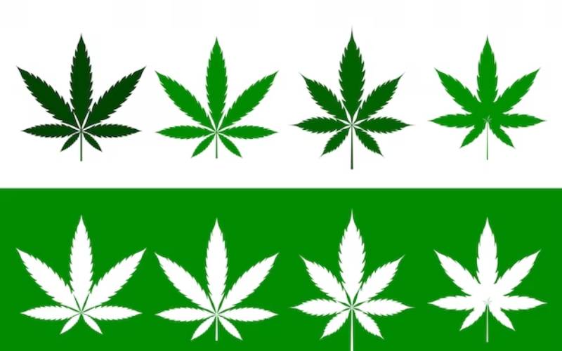 Naples cannabis card