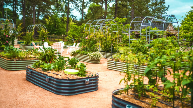 raised garden bed kit