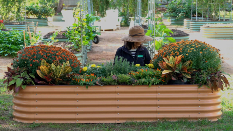Blooms Above Ground: The Art And Advantages Of Galvanized Raised Bed Planters
