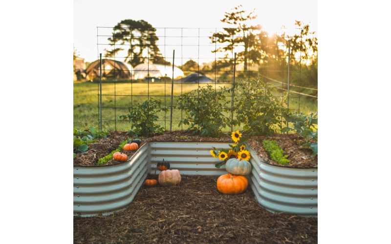 raised garden beds
