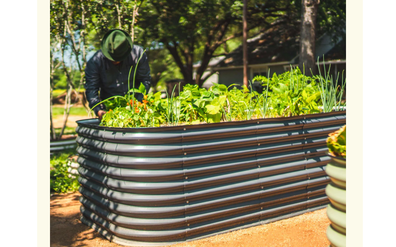galvanized raised bed planter
