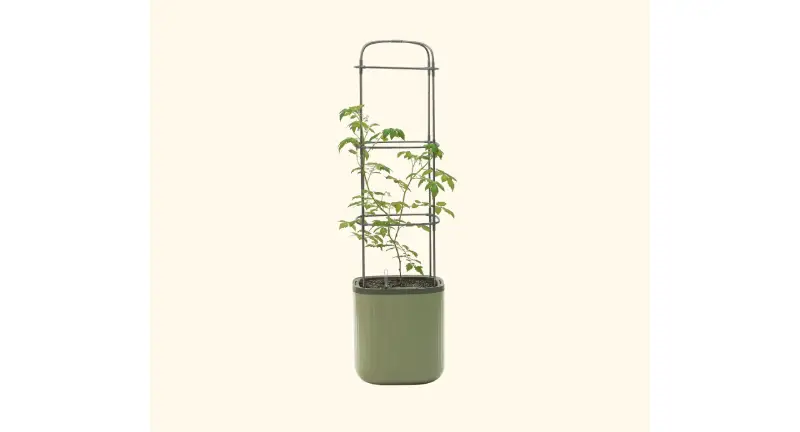metal raised beds for sale