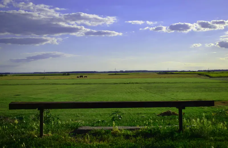 Maximize Profit: Selling Land For Cash Explained