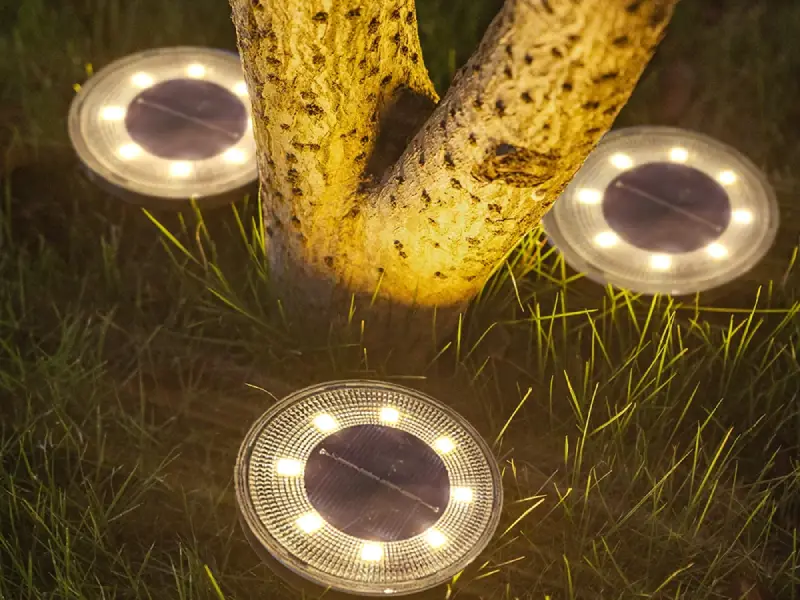 Enhance Your Dock’s Safety With Reliable Solar Dock Lights