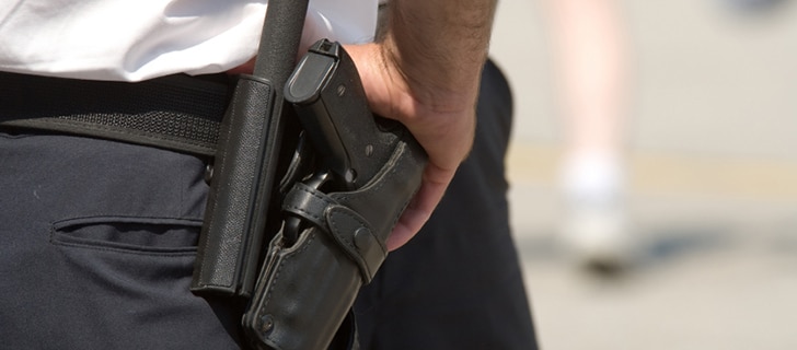 Event And Venue Security Guard Services In Los Angeles