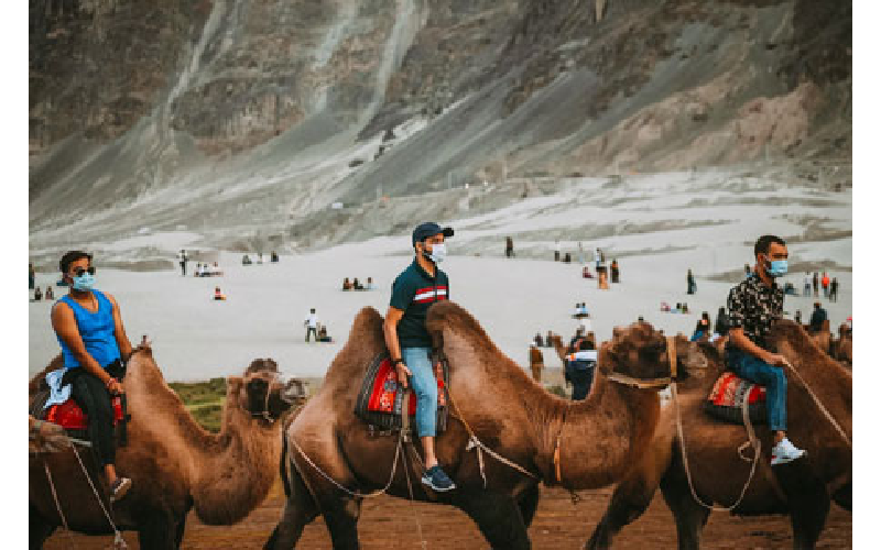 Why Spring Is The Best Time To Tour Kashmir: A Detailed Insight?