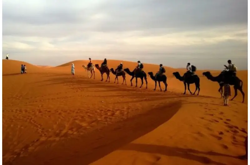 tour packages in India
