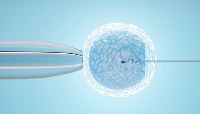 How A Fertility Specialist Can Help You Overcome Infertility Challenges?