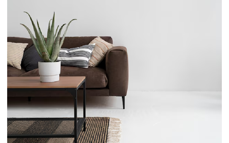 How Vancouver Home Staging Creates An Emotional Connection With Buyers?