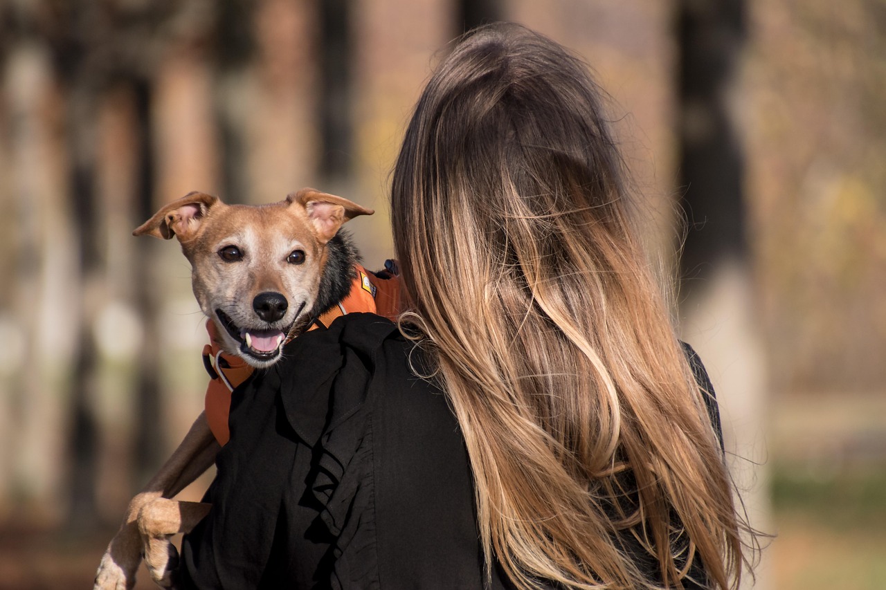 Harness The Power Of Heartmath For Stress-Free Living