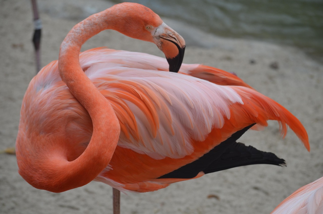 IUI Cost in San Diego: Your Complete Guide to Transparent Pricing & Options