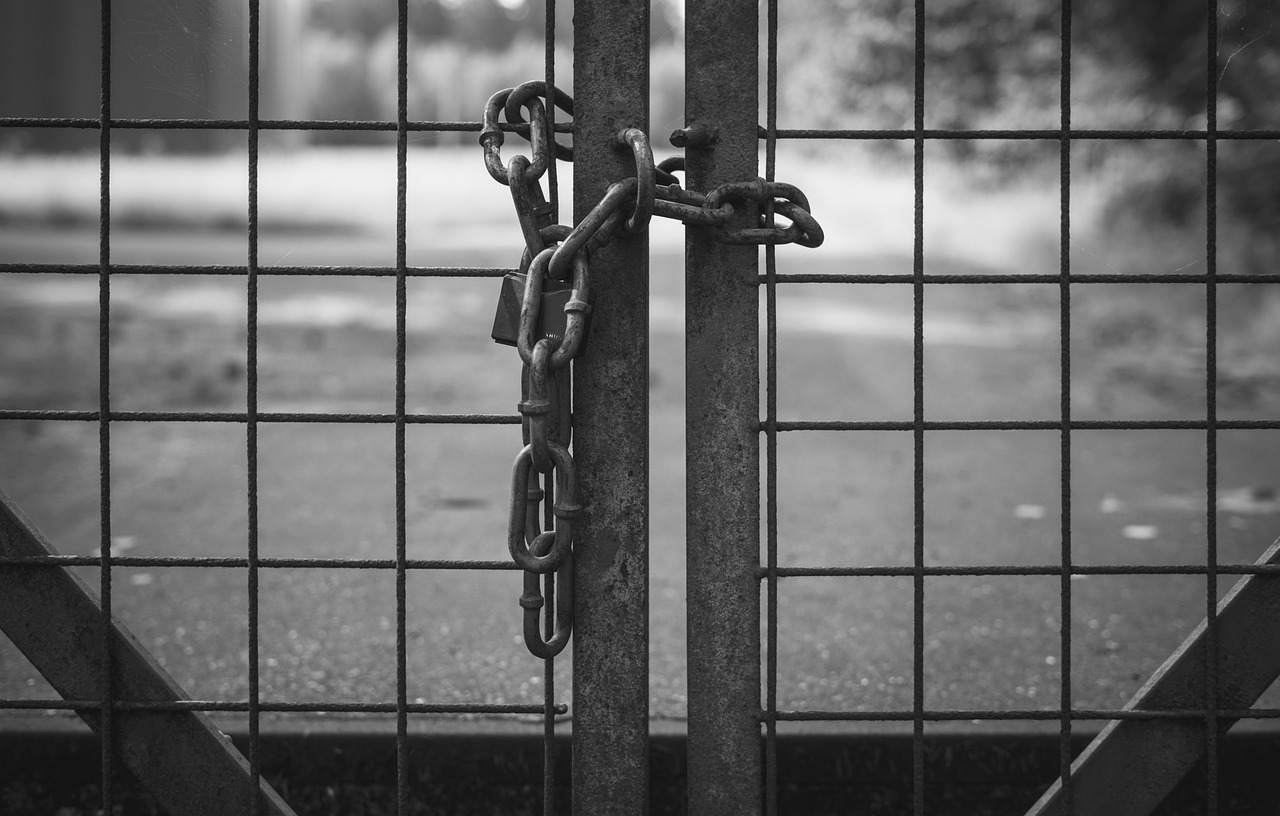 Essential Gun Safe Accessories To Optimize Your Firearm Storage