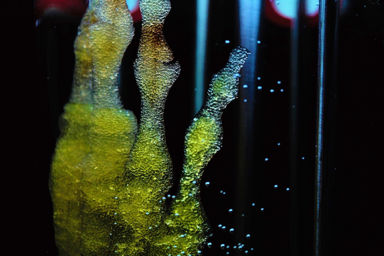How to Get Discounts on Stem Cell Preservation Charges?
