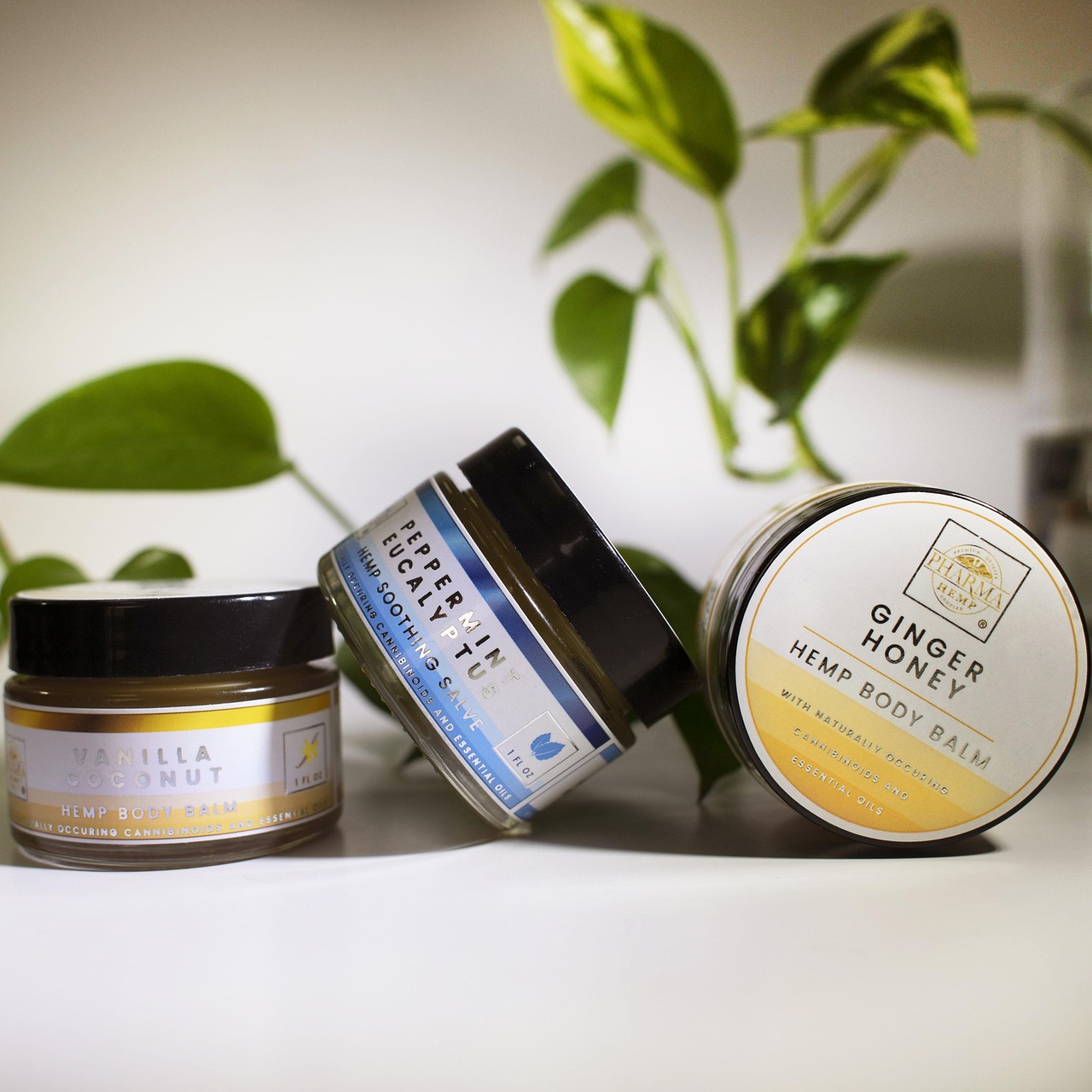 CBD Skin Care Guide: The Best Products For Every Skin Type