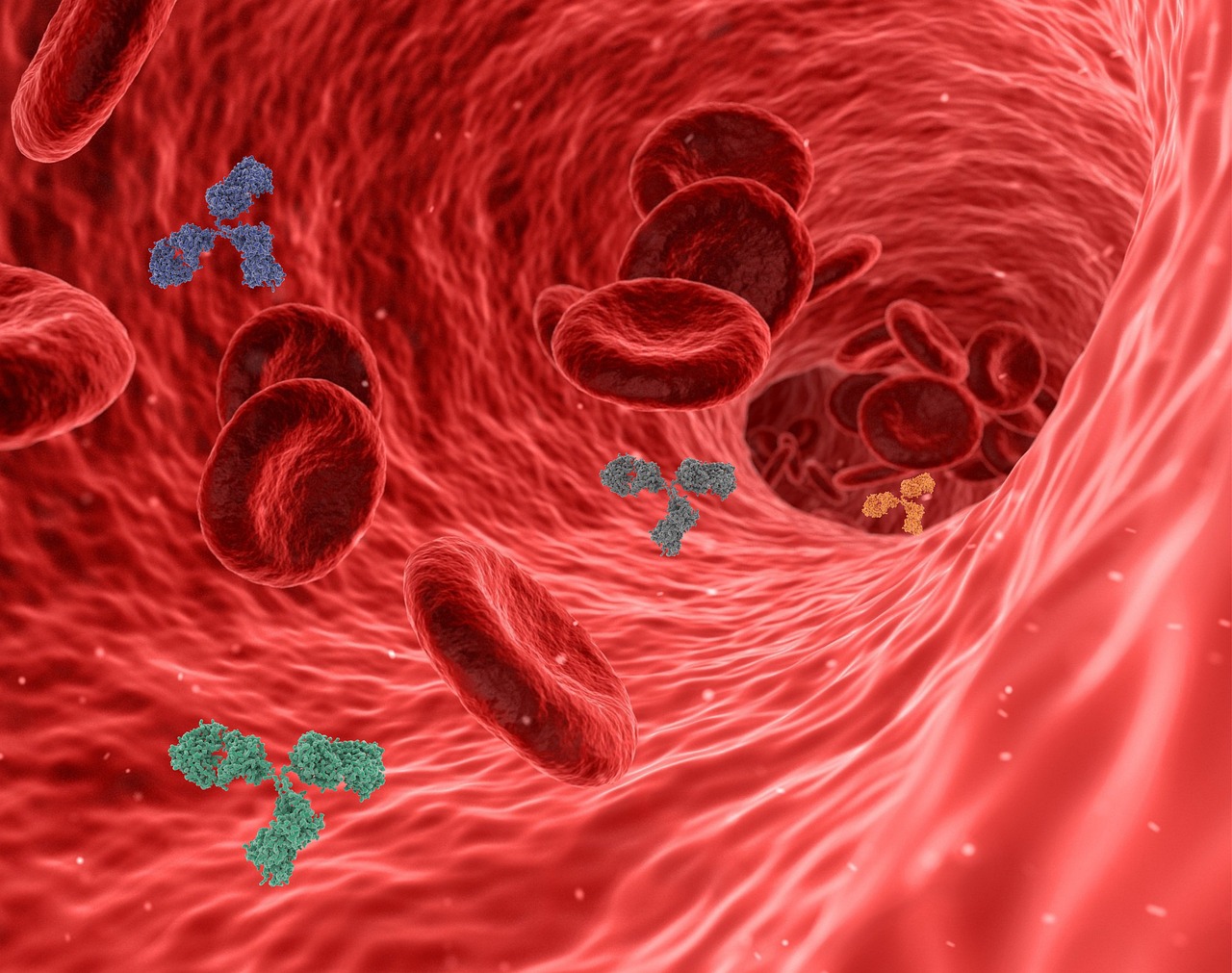 Sunrise and Stem Cells: Why Adult Stem Cell Banking is a Game-Changer for Health and Wellness