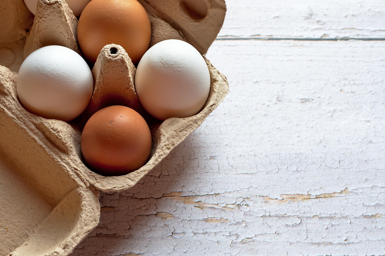 What You Should Know About Egg Donation Programs in California