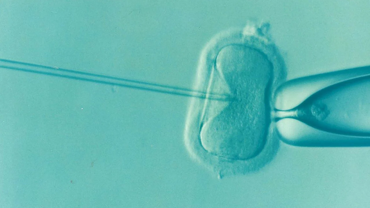 Finding a Gentle IVF Clinic in San Diego: What to Look for Beyond Success Rates