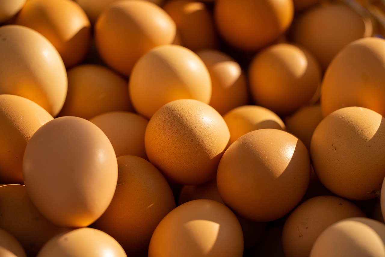 Frozen vs. Fresh Asian Egg Donation: Comparing Your Options as an Intended Parent