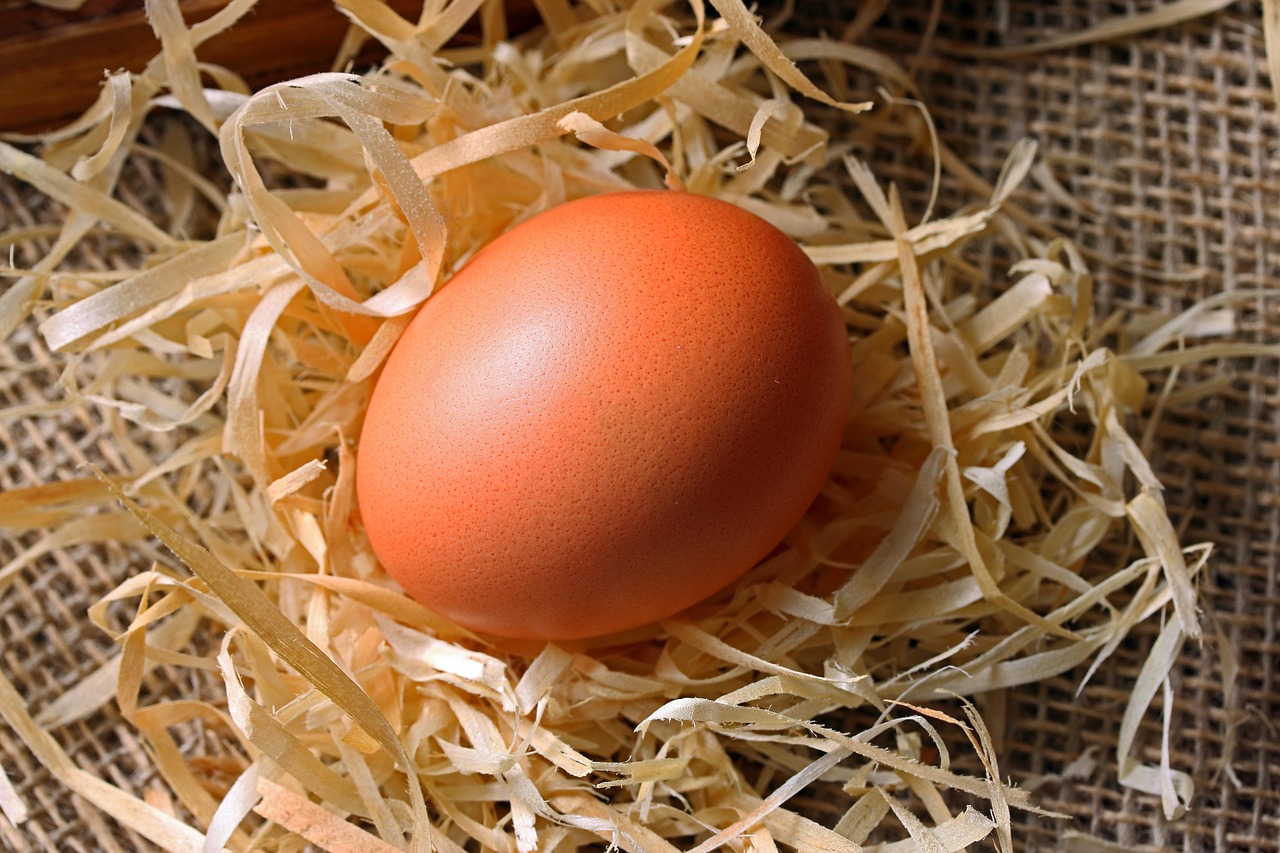 How A Fertility Specialist Can Help You Overcome Infertility Challenges?