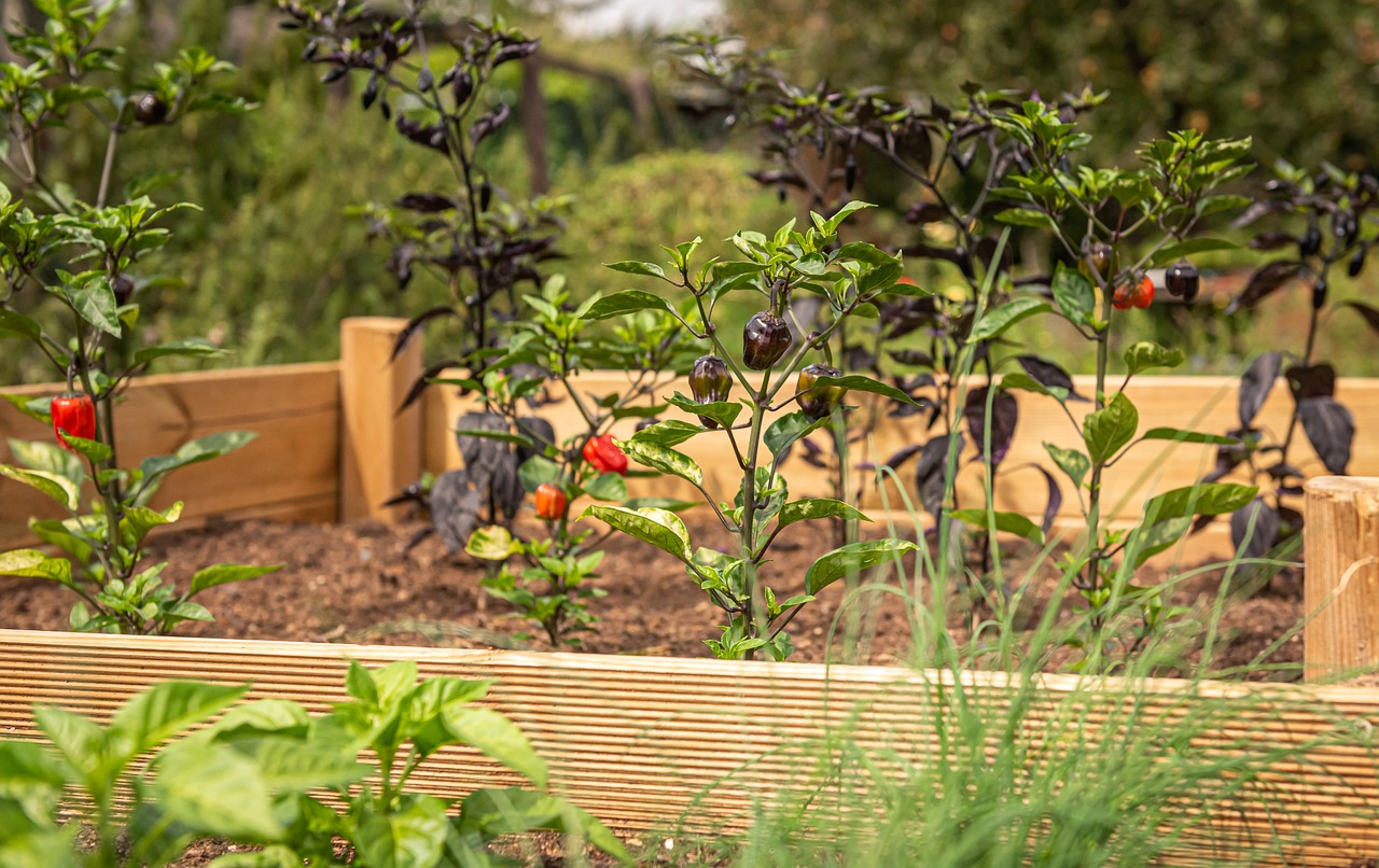 Transform Your Yard with Our Easy-to-Use Raised Garden Bed Kit
