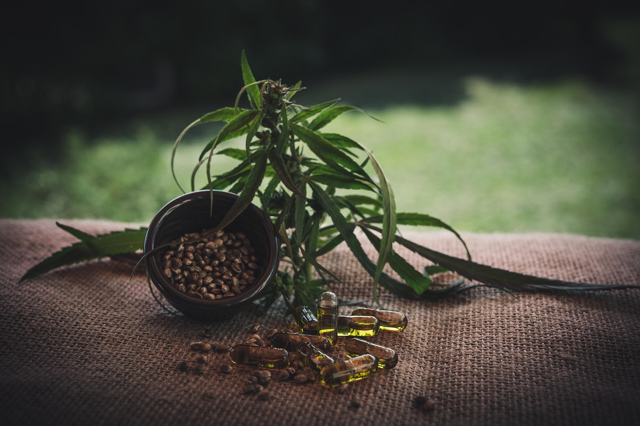 CBD and Lifestyle: Navigating the Intersection of Wellness and Cannabidiol