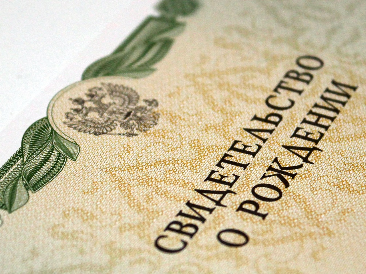 Why Do You Need an LMPC Registration Certificate?