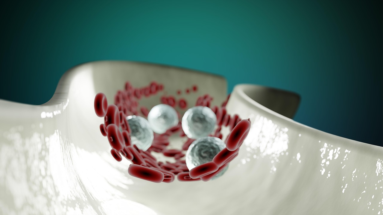 Sunrise and Stem Cells: Why Adult Stem Cell Banking is a Game-Changer for Health and Wellness