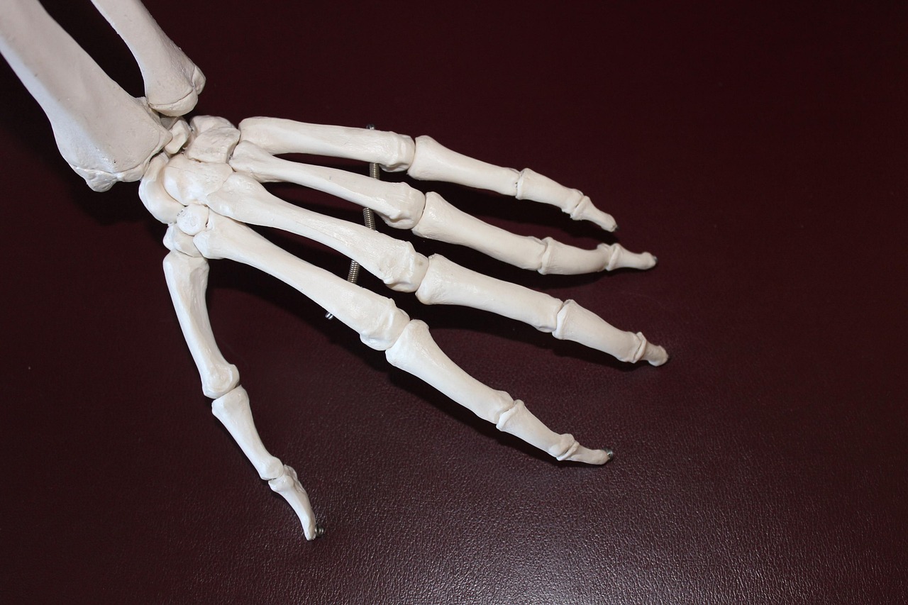 Navigating Joint Health: Why An Orthopedic Surgeon Should Be Your First Call?