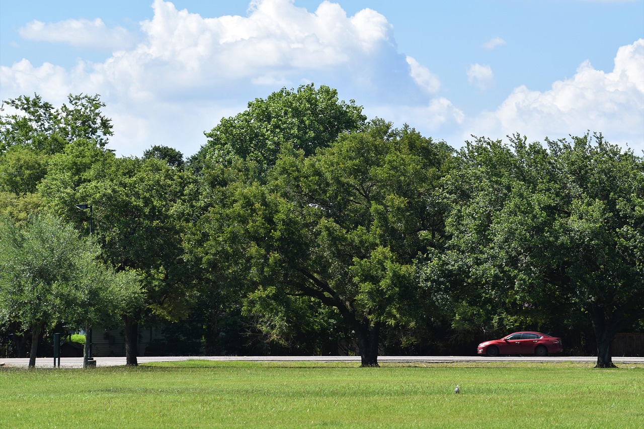 Car Rental For Business Travelers: Maximizing Convenience And Savings