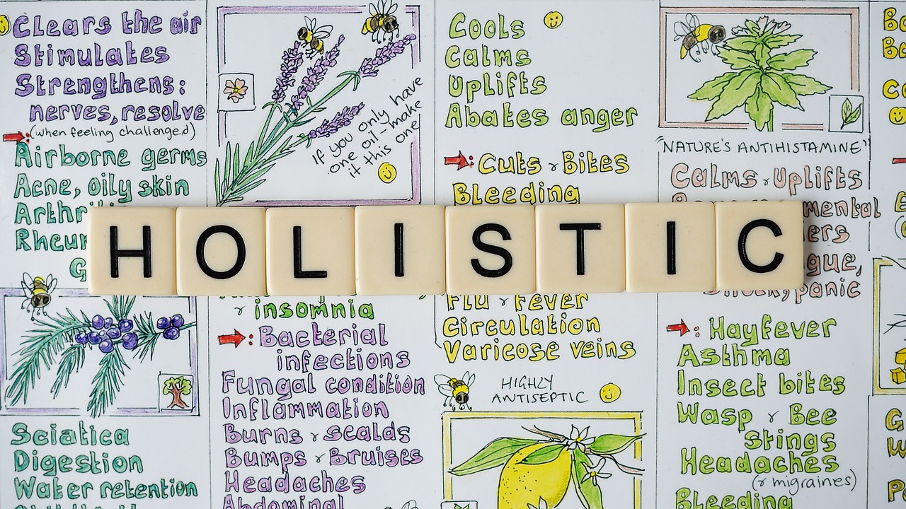 What to Know Before Trying Holistic Wellness Supplements?