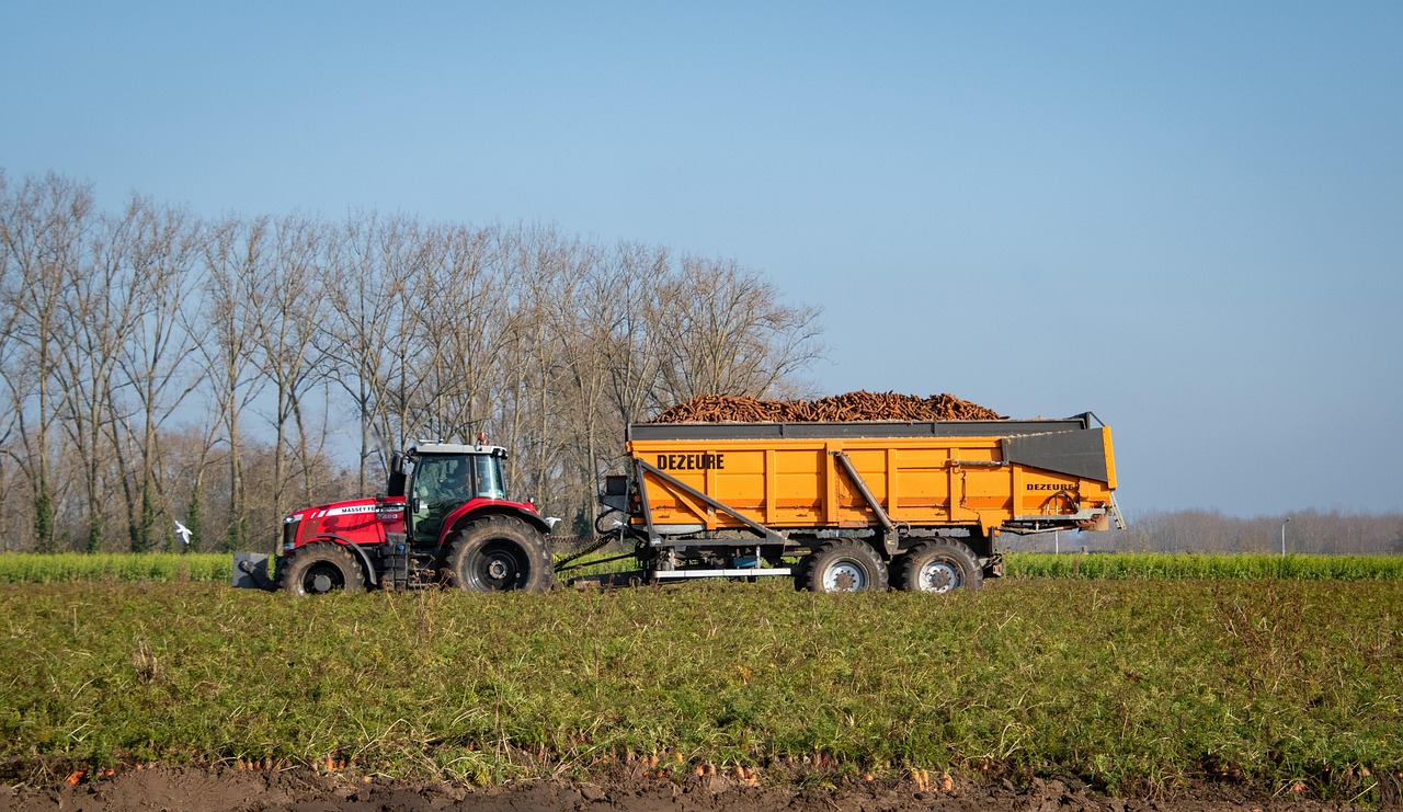 Choosing the Right Spirulina Farming Equipment for Your Operation