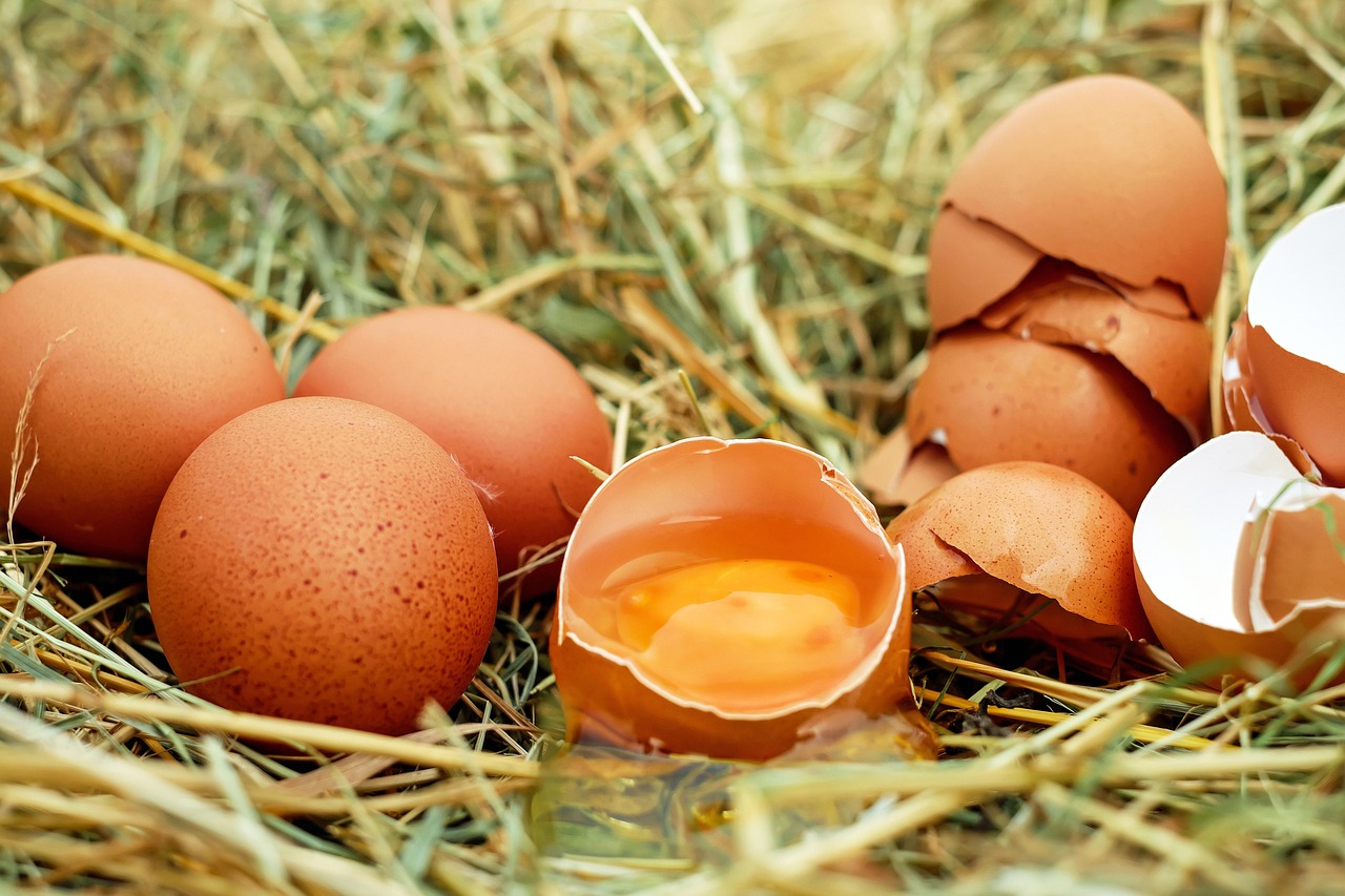 How Egg Donor Matching and Screening Protect Families: A 2026 Patient Perspective