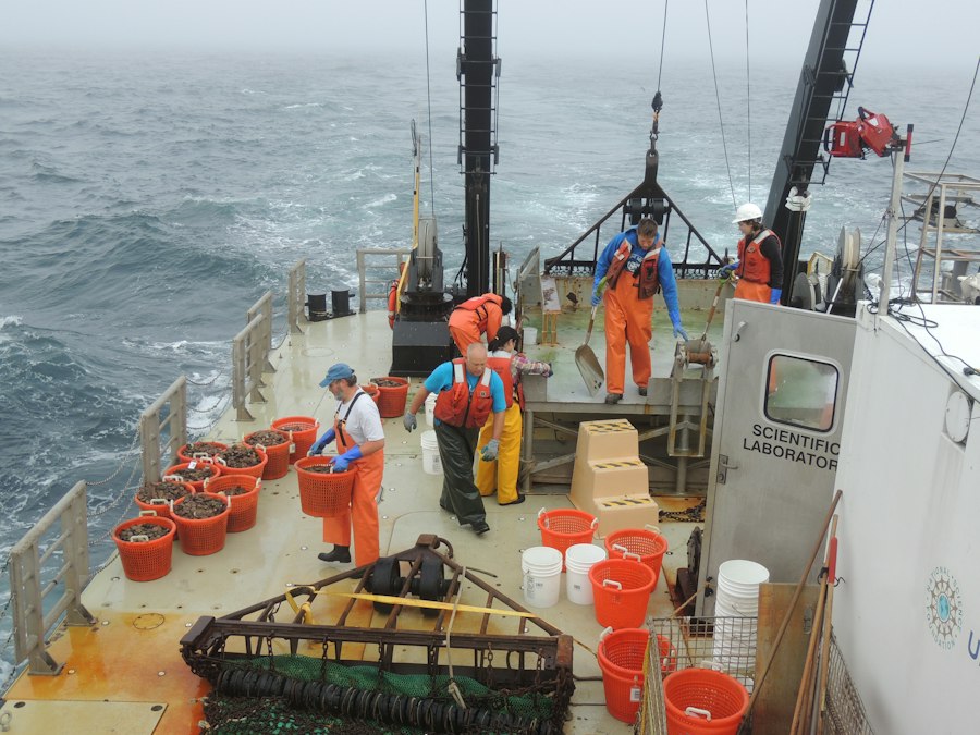 The Ultimate Guide to Auger Dredging: Everything You Need to Know